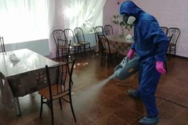 Дезинсекция, дезинфекция и дератизация